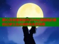 糖心深夜里释放自己vlog湖南精彩瞬间记录生活点滴体验真实情感