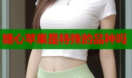 糖心苹果是特殊的品种吗