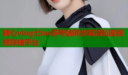 糖心vlog七ios多终端同步高清私密视频存储平台