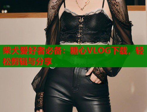 柴犬爱好者必备：糖心VLOG下载，轻松剪辑与分享