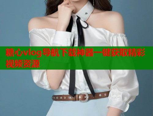 糖心vlog导航下载神器一键获取精彩视频资源