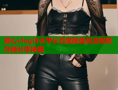 糖心vlog许木学长百度网盘高清视频存储分享神器