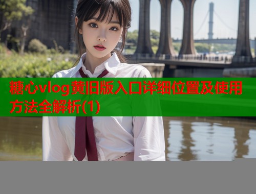 糖心vlog黄旧版入口详细位置及使用方法全解析(1)